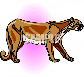 Cat Clipart