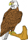 Eagle Clipart