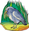 Grass Clipart