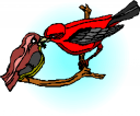 Cardinal Clipart