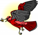 Cardinal Clipart