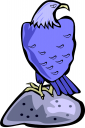 Eagle Clipart