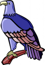 Eagle Clipart