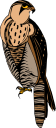 Eagle Clipart