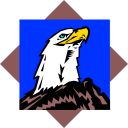 Eagle Clipart