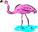 Flamingo Clipart