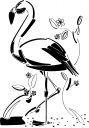 Flamingo Clipart