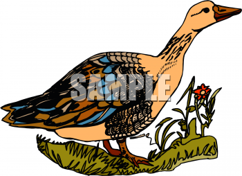 Geese Clipart