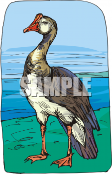 Geese Clipart