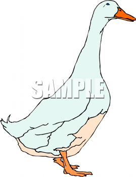 Geese Clipart