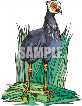 Grass Clipart