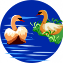 Geese Clipart