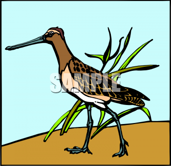Grass Clipart