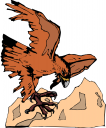 Eagle Clipart