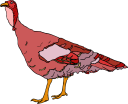 Thanksgiving Clipart