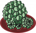 Ball Clipart