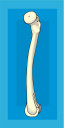 Skeleton Clipart