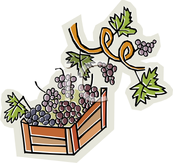Wine Clipart