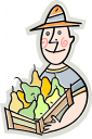 Pear Clipart