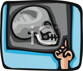 Anatomy Clipart