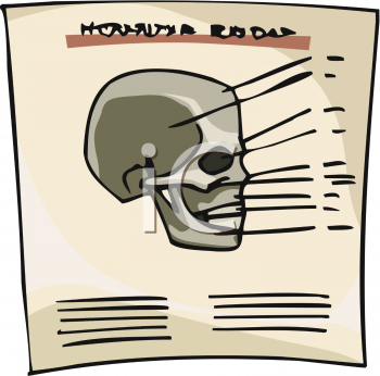 Anatomy Clipart