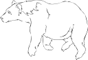 Mammal Clipart