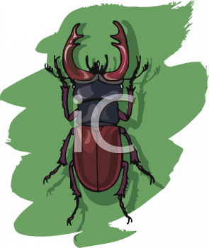 Royalty Free Bug Clipart
