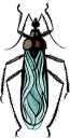 Bug Clipart