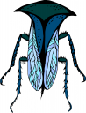 Bug Clipart