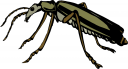 Bug Clipart