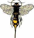 Bug Clipart