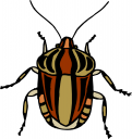 Bug Clipart