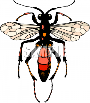 Bug Clipart