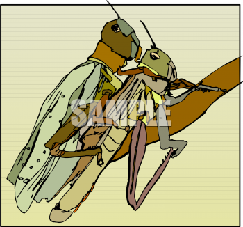 Bug Clipart