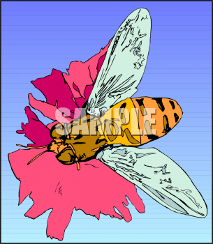 Bug Clipart