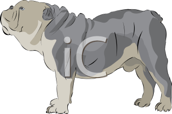 Dog Clipart
