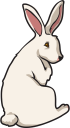 Cartoon Clipart