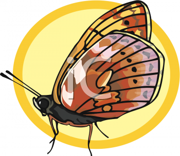 Bug Clipart