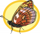 Bug Clipart