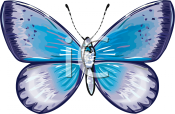 Bug Clipart