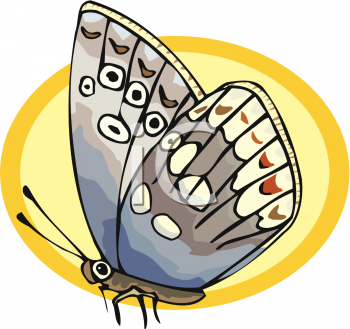 Bug Clipart