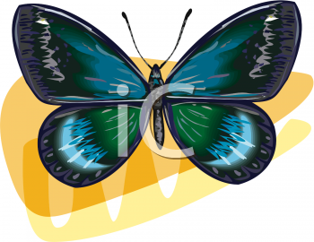 Bug Clipart