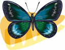Bug Clipart