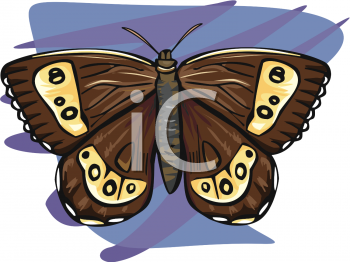 Bug Clipart