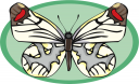 Bug Clipart