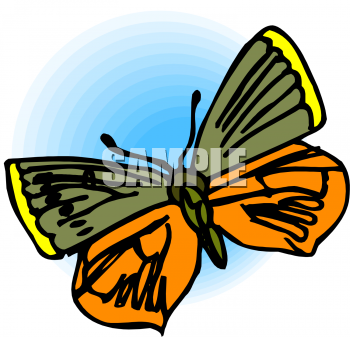 Bug Clipart