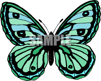 Bug Clipart