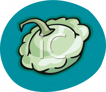 Cabbage Clipart