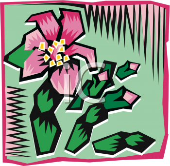 Cactus Clipart