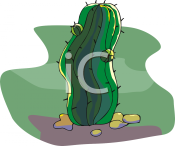 Cactus Clipart